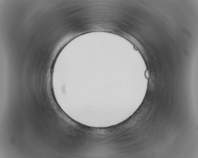 X0000112521096200909281012