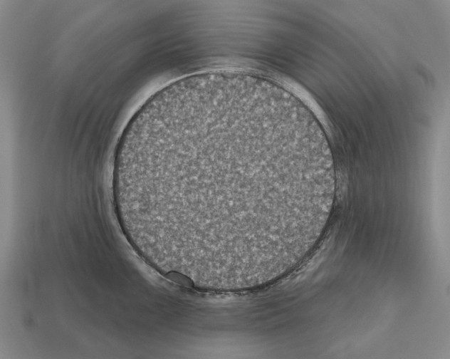 X0000112521099200909281012