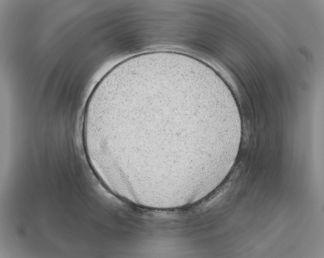 X0000112521102200909281012