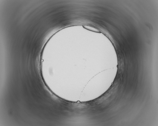 X0000112521103200909281011