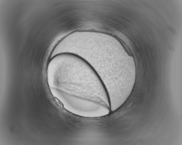 X0000112521104200909281011