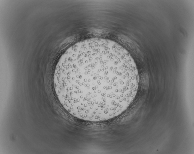 X0000112521105200909281011