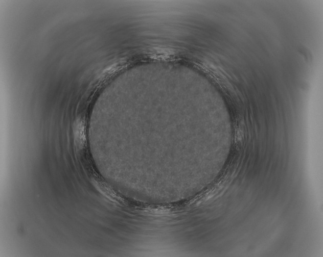 X0000112521106200909281011