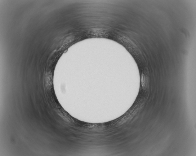 X0000112521107200909281011