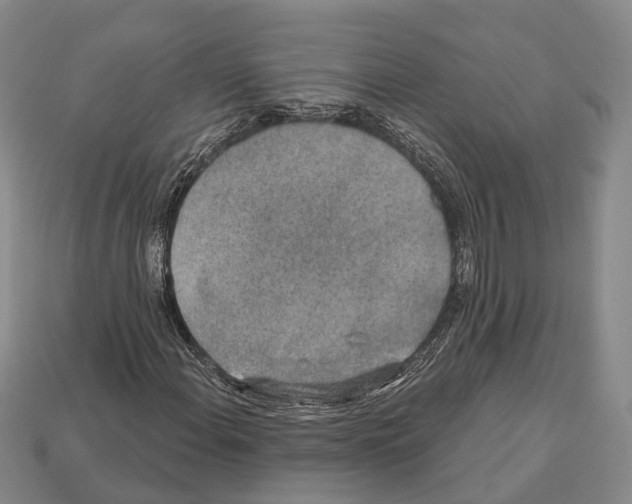 X0000112521108200909281011