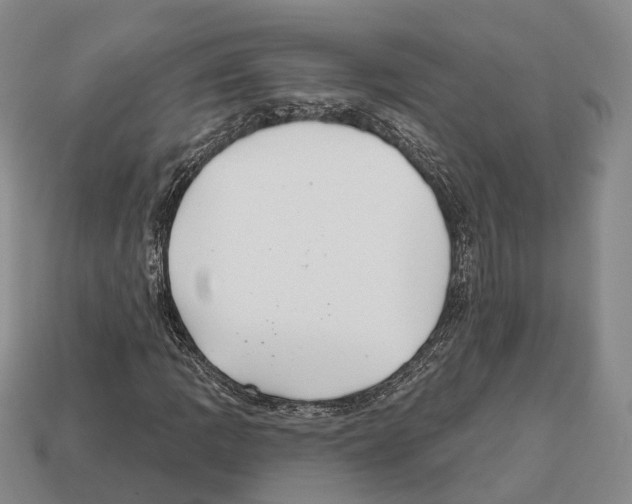 X0000112521109200909281011