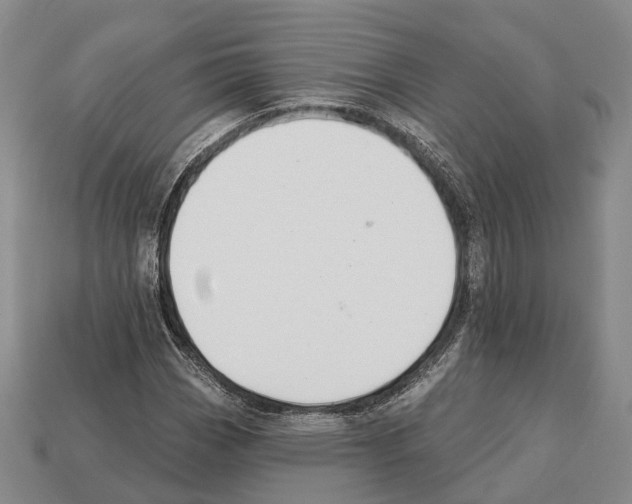 X0000112521113200909281011