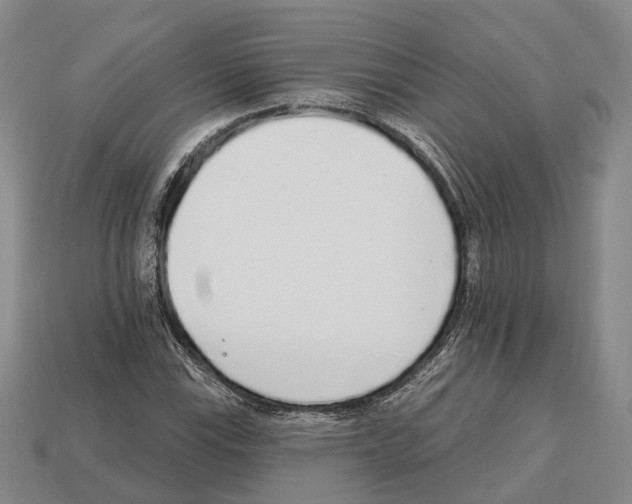 X0000112521115200909281011