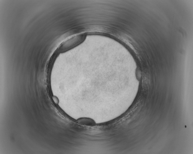 X0000112521116200909281011