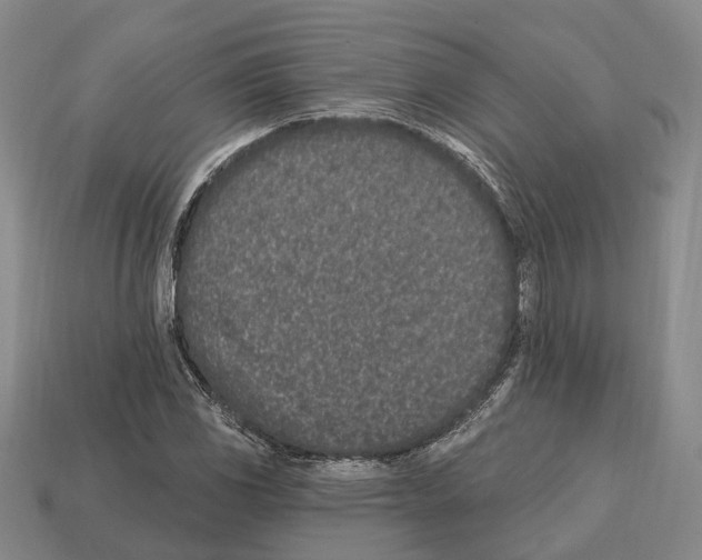 X0000112521117200909281011