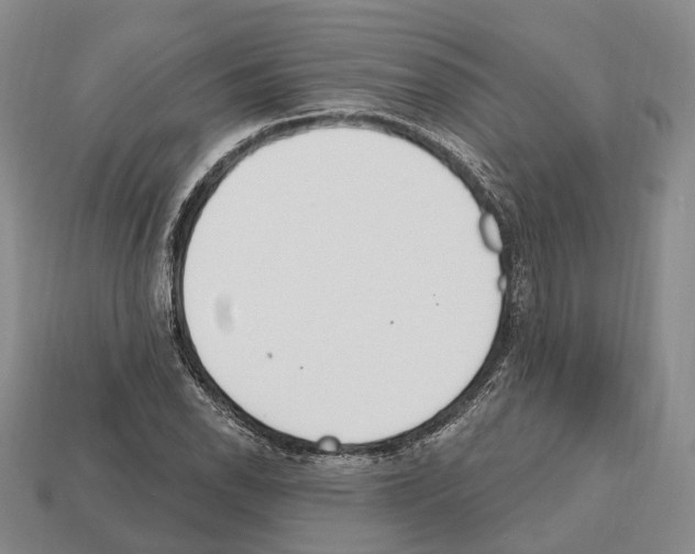 X0000112521118200909281011
