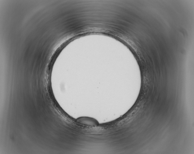 X0000112521119200909281011
