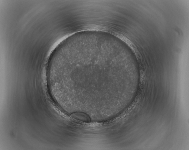 X0000112521120200909281011