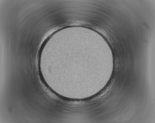X0000112521122200909281011