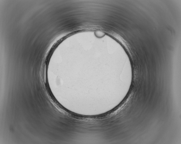 X0000112521123200909281011