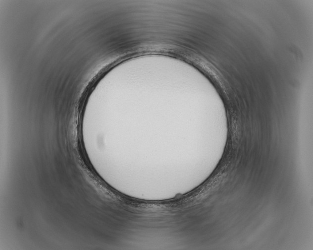 X0000112521124200909281011
