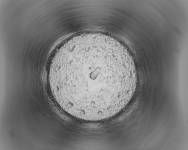 X0000112521125200909281011