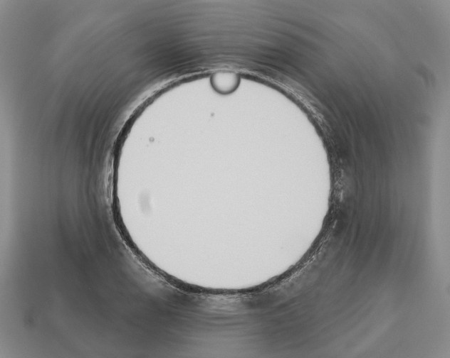 X0000112521126200909281011