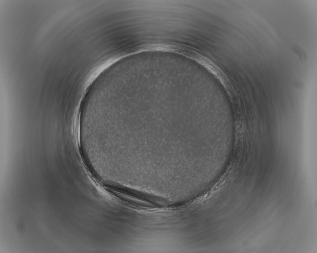 X0000112521127200909281011