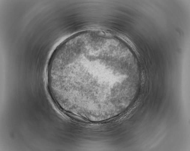 X0000112521128200909281011