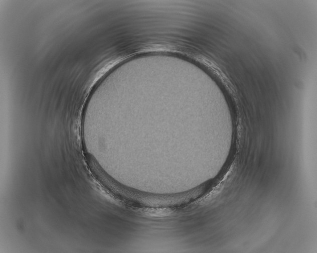 X0000112521129200909281011