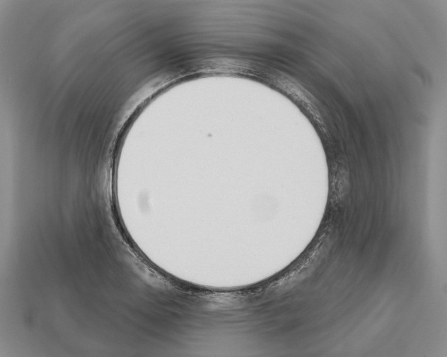 X0000112521130200909281011