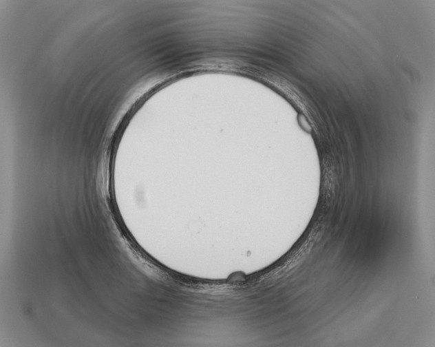 X0000112521131200909281011