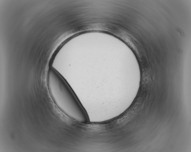 X0000112521132200909281011