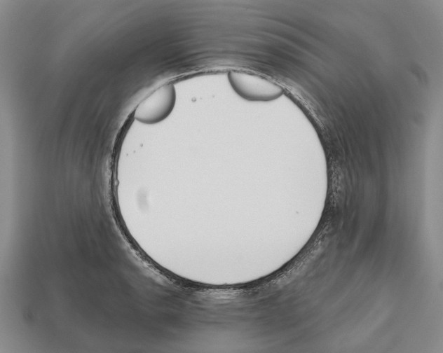 X0000112521134200909281011