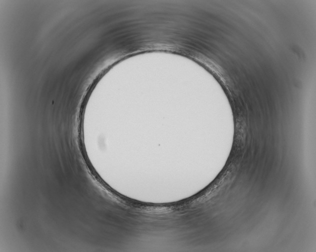 X0000112521135200909281011