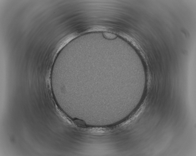 X0000112521137200909281011