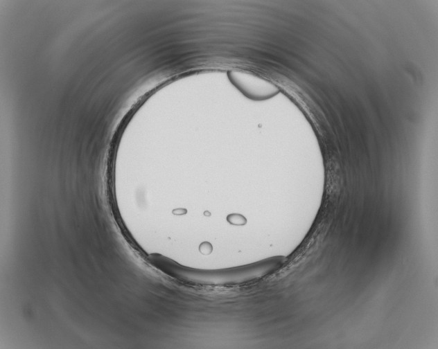X0000112521139200909281011