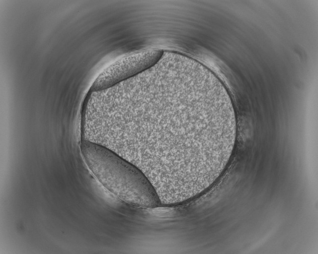 X0000112521140200909281011