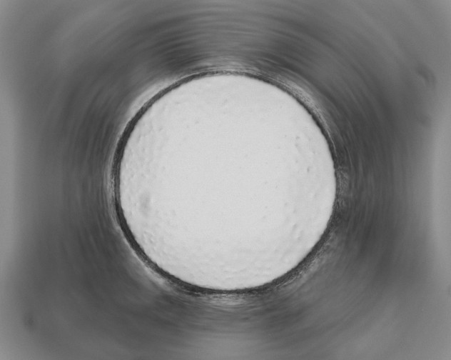X0000112521141200909281011
