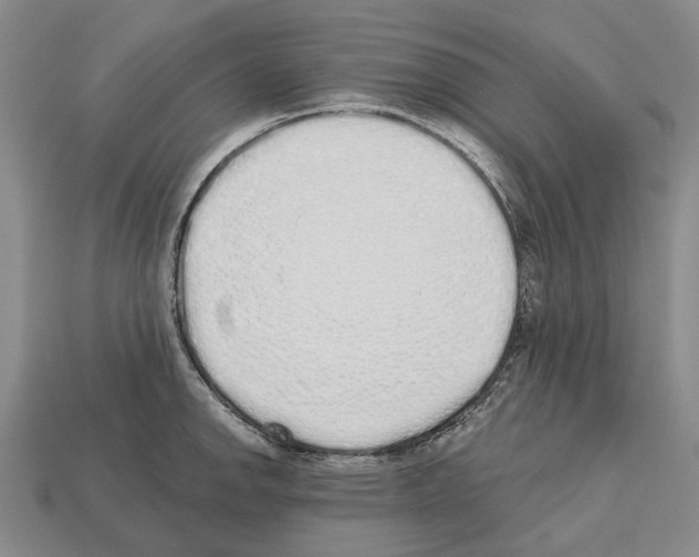 X0000112521142200909281011