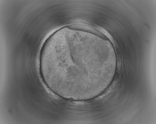 X0000112521144200909281011