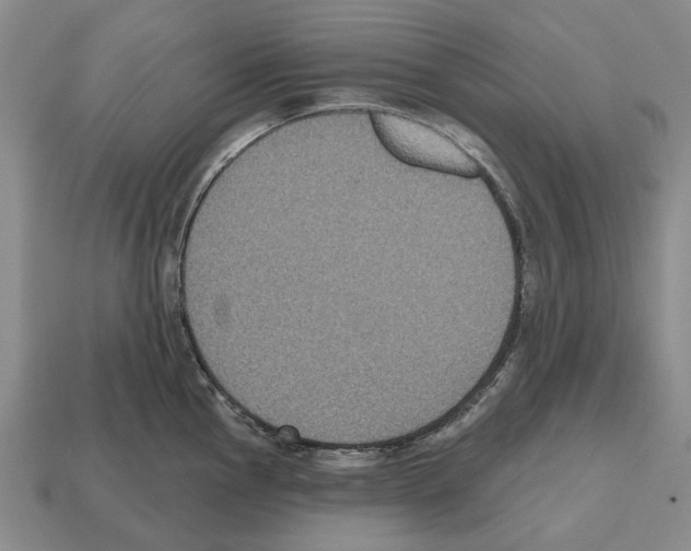 X0000112521145200909281011
