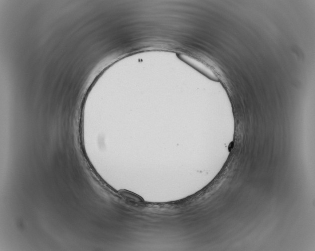 X0000112521146200909281011