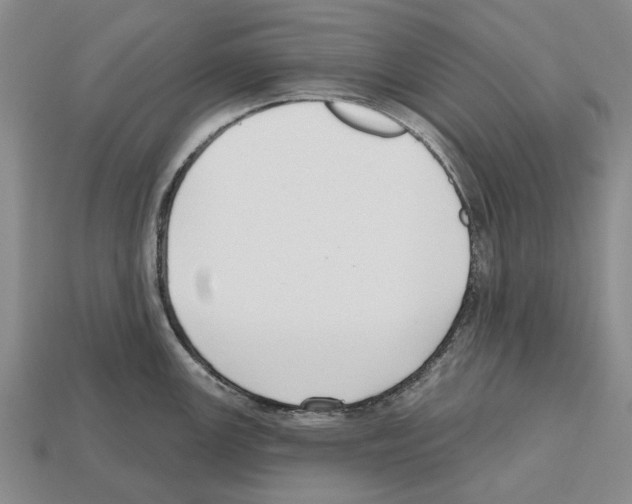 X0000112521147200909281011