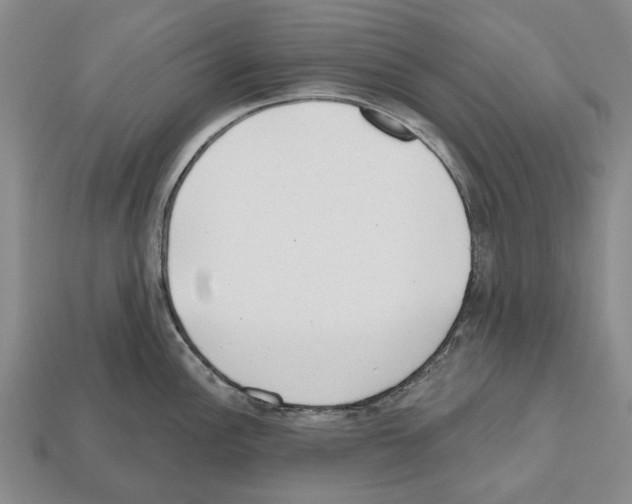 X0000112521148200909281011