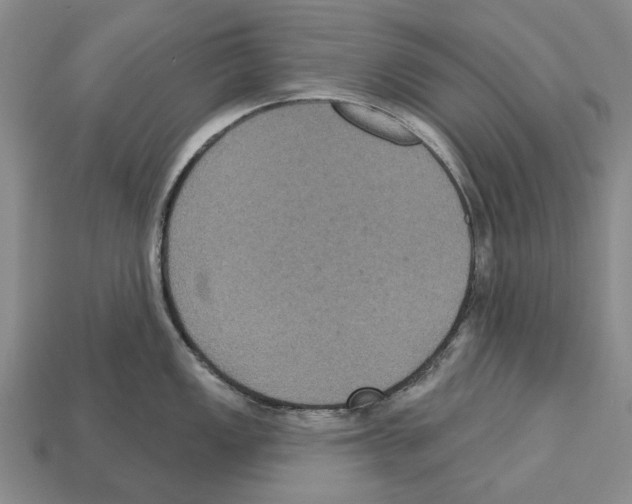 X0000112521149200909281011