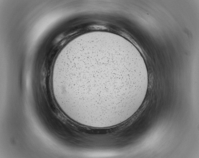 X0000112521151200909281011