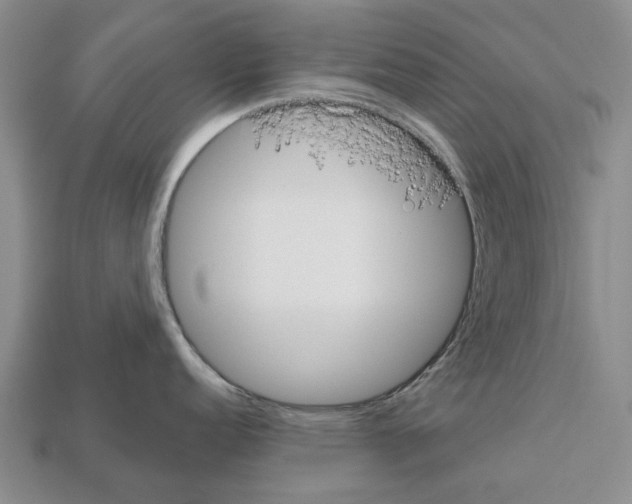 X0000112521152200909281011
