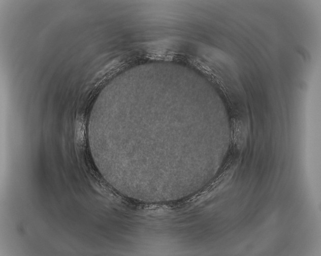 X0000112521154200909281011