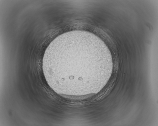 X0000112521156200909281011