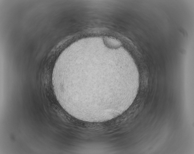X0000112521158200909281011