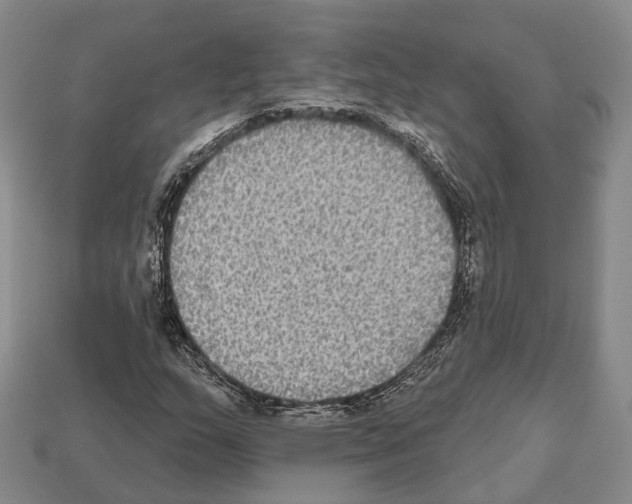 X0000112521159200909281011