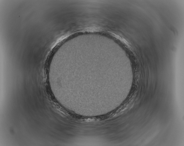X0000112521160200909281011