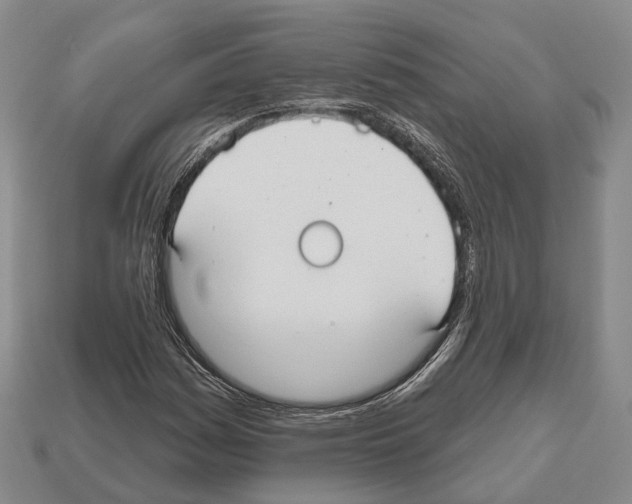 X0000112521161200909281011