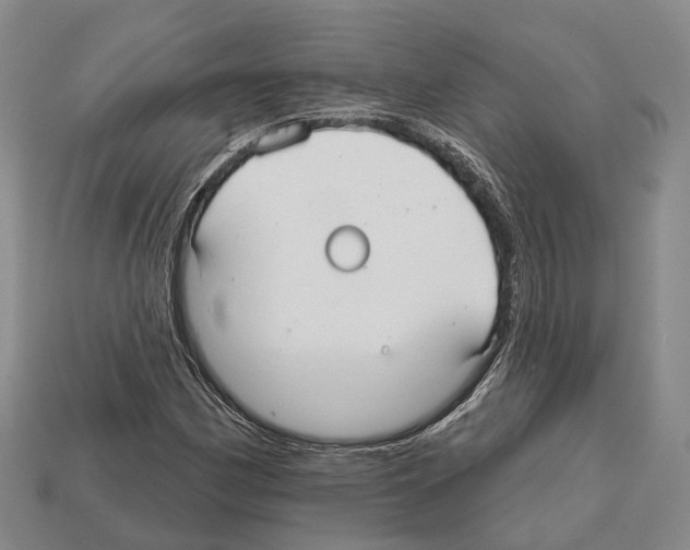 X0000112521162200909281011